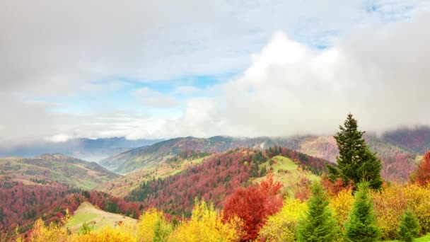 タイムラプスクリップ。雲と幻想的なカラフルな山の風景。ウクライナ、カルパチア山脈 — ストック動画