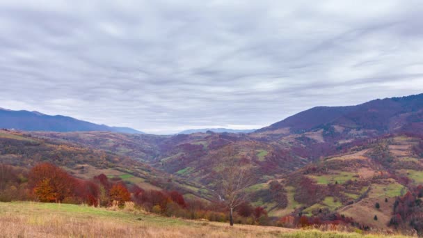 Time lapse Hermosa naturaleza otoñal y neblina fluye alrededor de las montañas por la mañana con suave sol. Temporada de otoño en la montaña Cárpatos en Ucrania — Vídeo de stock