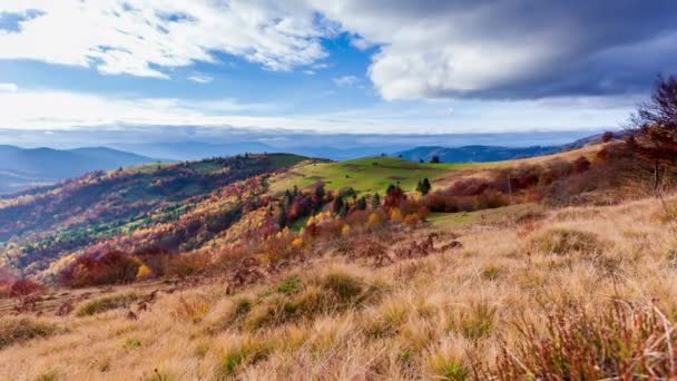 Time lapse Smuk efterår natur og tåge flyder rundt i bjergene om morgenen med mild solskin. Efterårssæsonen på Karpaterne bjerg i Ukraine – Stock-video