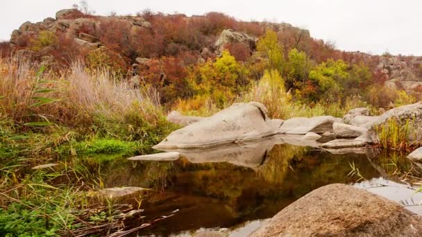 Alberi autunnali e grandi massi di pietra intorno. Una cascata d'acqua in autunno torrente con foglie cadute. L'acqua scorre intorno alle pietre nel fiume. Aktovsky Canyon, Ucraina. — Video Stock
