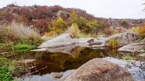 秋天的树和周围的大石头巨石。秋天溪流中的瀑布,落叶丛生.河水从河里的石头周围流过.Aktovsky Canyon，乌克兰. — 图库视频影像
