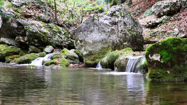 Pequenas cachoeiras em uma floresta pacífica — Vídeo de Stock