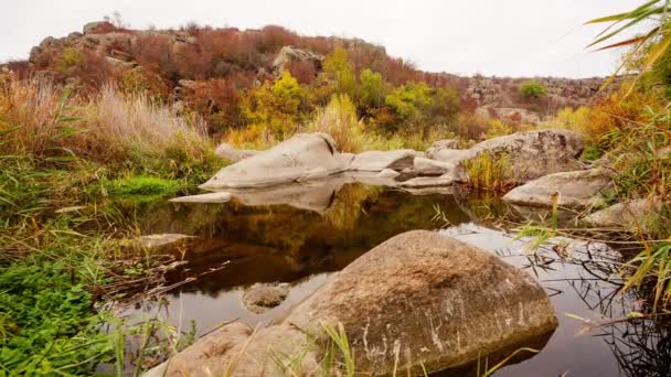 나무늘보와 주위에 있는 커다란 돌덩어리들 입니다. 가을에는 낙엽이 떨어지는 급류가 불어온다. 강에 있는 돌들 주위로 물이 흐릅니다. 우크라이나,아크 토브 스키 협곡. — 비디오