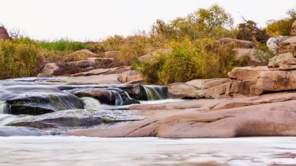 Vahşi Dağ Nehri taş kayalar ve taş akıntılarıyla akıyor. Creek 'te hızlı su sıçratma. Sonbaharda dağ deresi. Bol miktarda Clear Stream. Tokiv Kanyonu. Ukrayna. — Stok video