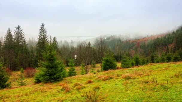 Ukraine, Carpathians. Time lapse of morning fog in the autumn mountains. Landscape with snowy mountains and running mist. — Stock Video