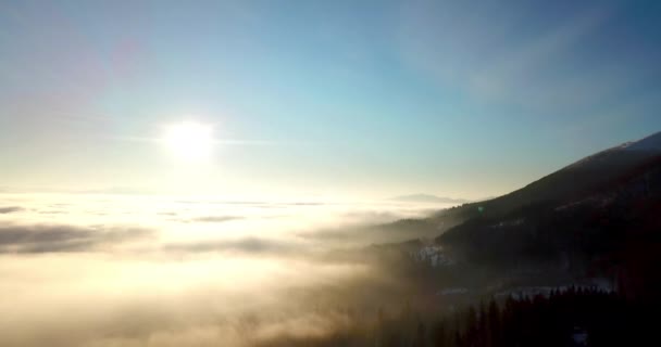 Vue aérienne du lever du soleil majestueux dans les montagnes. La vallée entre les montagnes est couverte de brouillard et est éclairée par les rayons chauds du soleil levant. Montagnes couvertes de forêt naturelle. — Video