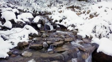 Ukrayna 'nın Karpat Dağları' ndaki dağlık ormanlardan akan su..