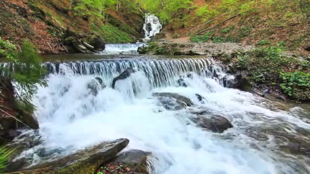 Вода падает над скалами через густой подлеск папоротника Карпатского леса. — стоковое видео