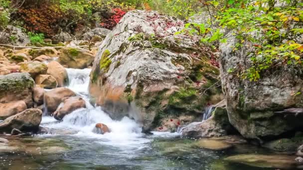 Gyorsan folyik a patak a nyári zöld erdőben. Kis vízesés kristálytiszta vízzel. Kövek és mohával borított rönkök — Stock videók