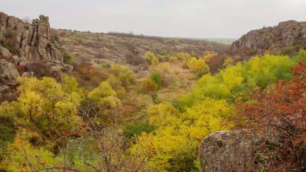 Árvores de outono e grandes pedras de pedra ao redor. Aktovsky Canyon, Ucrânia. — Vídeo de Stock