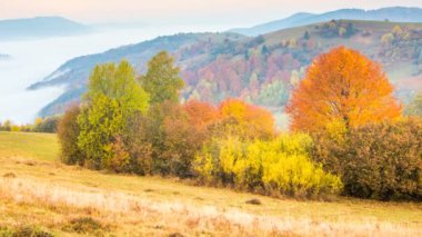 Tepeleri ve dağları olan güzel bir manzara.