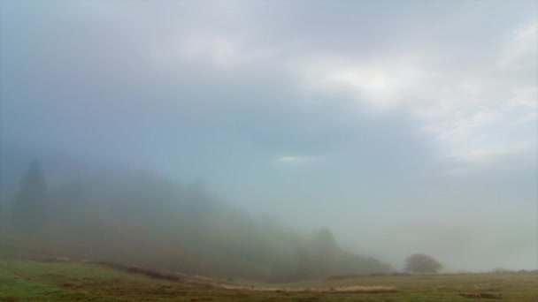 Niebla de la mañana sobre el valle entre las montañas a la luz del sol. Fog and Beautiful nature of Carpathian Mountains footage (en inglés). Ucrania — Vídeos de Stock