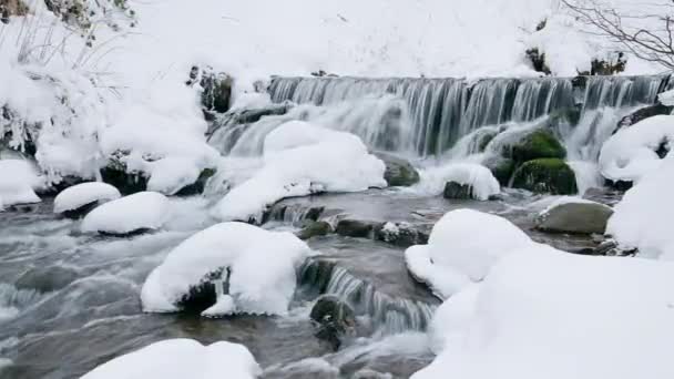 Maravilloso pie congelado de una cascada con una poderosa corriente de agua en las montañas de los Cárpatos de invierno, Ucrania. Shipot. piedras, rocas son redondeadas con bosque con árboles de Navidad y pinos — Vídeos de Stock