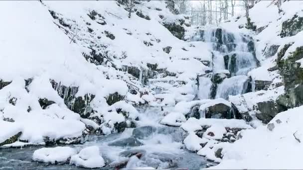 Ukrayna 'daki Karpat Dağları' nda güçlü bir su akıntısı olan harika donmuş bir şelale ayağı. Gemi. Taşlar, kayalar ormanla çevrili Noel ağaçları ve çam ağaçları — Stok video