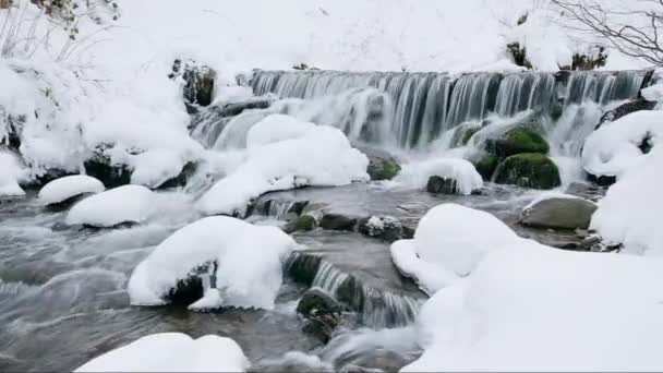 Wspaniała zamarznięta stopa wodospadu z potężnym strumieniem wody w zimowych Karpatach, Ukraina. Gówniarz. kamienie, skały zaokrąglone są lasem z choinkami i sosnami — Wideo stockowe