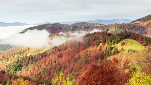 Maravilhosa paisagem de outono com céu azul bonito e nuvens majestosas Floresta Pôr do sol Bela Queda Estação Floresta Montanha Pôr do sol Laranja Cores Espiritualidade Inspiração Férias Conceito — Vídeo de Stock