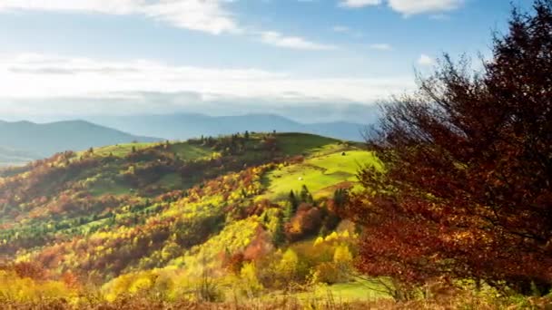 美しい青空と雄大な雲と素晴らしい秋の風景森の夕日美しい秋の季節森林山の夕日オレンジ色精神的なインスピレーションの休暇のコンセプト — ストック動画