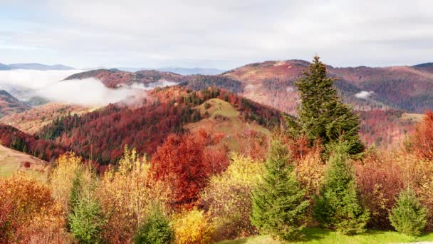 美しい青空と雄大な雲と素晴らしい秋の風景森の夕日美しい秋の季節森林山の夕日オレンジ色精神的なインスピレーションの休暇のコンセプト — ストック動画