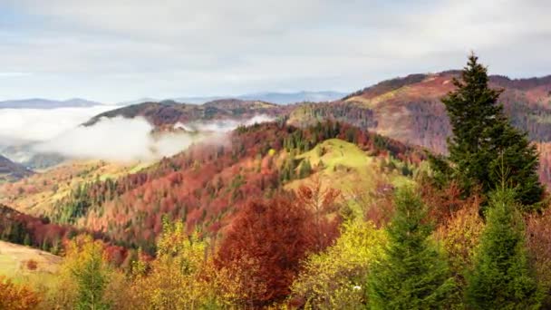 Magnifique paysage d'automne avec un beau ciel bleu et des nuages majestueux Forêt Coucher de soleil Belle saison d'automne Forêt Montagne Coucher de soleil Orange Couleurs Spiritualité Inspiration Vacation Concept — Video