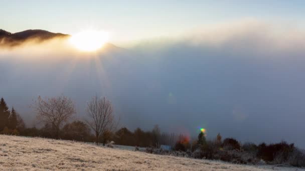 Zon komt op van achter de bergtop, mist beweegt en komt op in de zomerochtend in de bergen. Ochtendmist verdwijnt in de bergen Karpaten. Natuur landschap, natuur landschap, landelijke achtergrond — Stockvideo