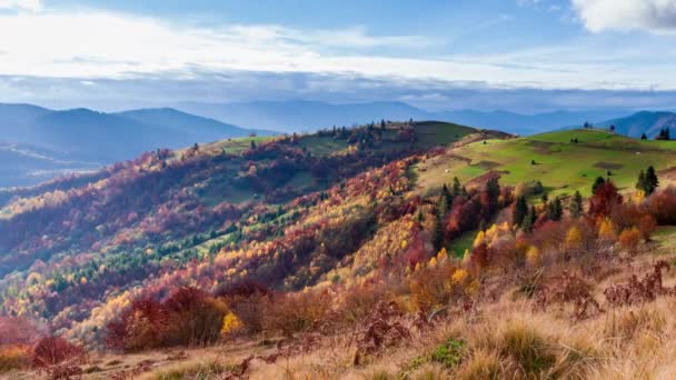 Lapso de tempo Bela natureza de outono e nevoeiro nevoeiro flui ao redor das montanhas pela manhã com luz solar suave. Temporada de outono na montanha dos Cárpatos na Ucrânia — Vídeo de Stock