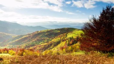 Muhteşem sonbahar manzarası güzel mavi gökyüzü ve görkemli bulutlar Orman Günbatımı Orman Ormanı Güzel Mevsim Ormanı Sunset Ormanı Turuncu Renkler Ruhsal İlham Tatil Kavramı
