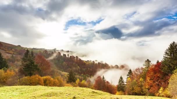 Maravilhosa paisagem de outono com céu azul bonito e nuvens majestosas Floresta Pôr do sol Bela Queda Estação Floresta Montanha Pôr do sol Laranja Cores Espiritualidade Inspiração Férias Conceito — Vídeo de Stock