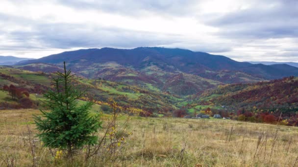 Tidsförskjutningsklipp. Fantastiskt färgglatt bergslandskap med moln. Ukraina, Karpaterna — Stockvideo
