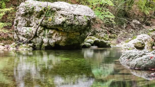 Cours d'eau rapide dans la forêt verte d'été. Petite cascade avec eau cristalline. Pierres et bûches recouvertes de mousse — Video