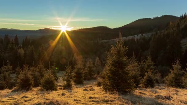 Solig skog tidigt på morgonen. Solen bryter igenom grenarna av första, bildar vackra strålar i luften. Gräs täckt med frost. Karpaterna i bergen. Ukraina — Stockvideo