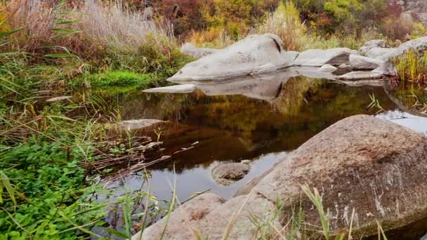Herfstbomen en grote stenen rotsblokken. Een waterval in de herfst kreek met gevallen bladeren. Er stroomt water rond de stenen in de rivier. Aktovsky Canyon, Oekraïne. — Stockvideo