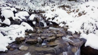 Ukrayna 'nın Karpat Dağları' ndaki dağlık ormanlardan akan su..