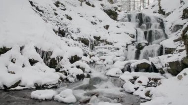 Ukrayna 'daki Karpat Dağları' nda güçlü bir su akıntısı olan harika donmuş bir şelale ayağı. Gemi. Taşlar, kayalar ormanla çevrili Noel ağaçları ve çam ağaçları
