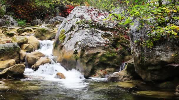 Małe wodospady w spokojnym lesie — Wideo stockowe