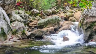 Yeşil yaz ormanlarında akarsu hızlı akıyor. Kristal berrak suyu olan küçük bir şelale. Yosun kaplı taşlar ve kütükler