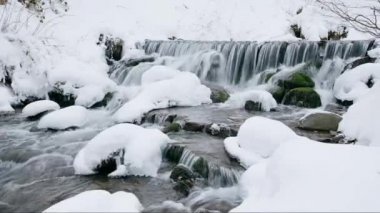 Ukrayna 'daki Karpat Dağları' nda güçlü bir su akıntısı olan harika donmuş bir şelale ayağı. Gemi. Taşlar, kayalar ormanla çevrili Noel ağaçları ve çam ağaçları