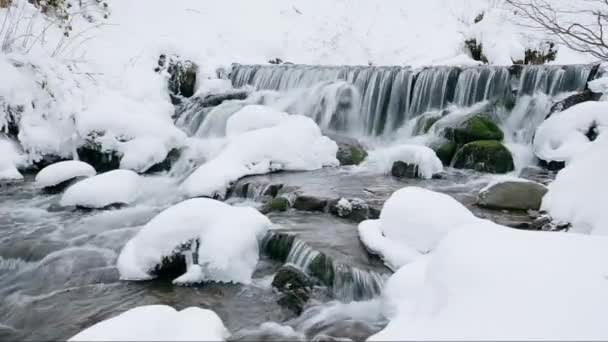 Herrlich gefrorener Fuß eines Wasserfalls mit einem mächtigen Wasserstrom in den Winterkarpaten, Ukraine. Schiffbruch. Steine, Felsen sind von Wald mit Weihnachtsbäumen und Kiefern umgeben — Stockvideo