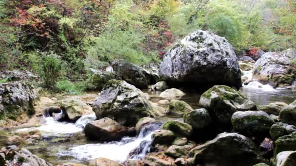Petites cascades dans un bois paisible — Video