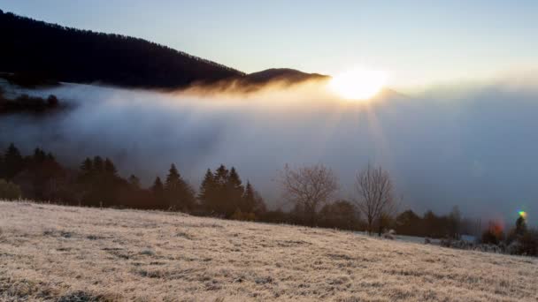 Soarele răsare din spatele vârfului muntelui, ceața se mișcă și se ridică în zori în dimineața de vară în munți. Ceața de dimineață se disipează în munții Carpați. Peisaj natural, peisaj natural, fundal rural — Videoclip de stoc