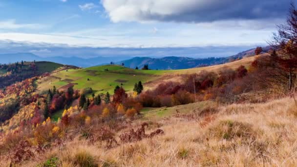 Lapso de tempo Bela natureza de outono e nevoeiro nevoeiro flui ao redor das montanhas pela manhã com luz solar suave. Temporada de outono na montanha dos Cárpatos na Ucrânia — Vídeo de Stock