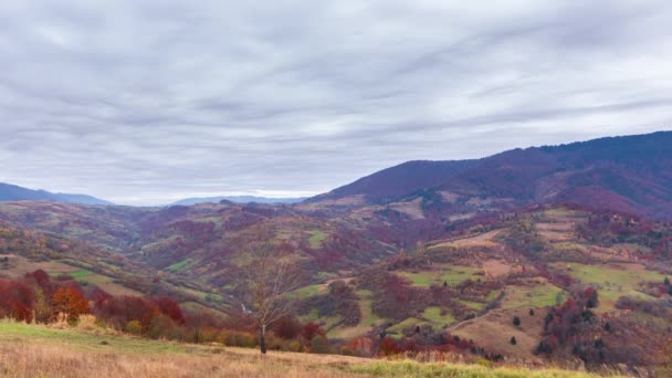 Lapso de tempo Bela natureza de outono e nevoeiro nevoeiro flui ao redor das montanhas pela manhã com luz solar suave. Temporada de outono na montanha dos Cárpatos na Ucrânia — Vídeo de Stock