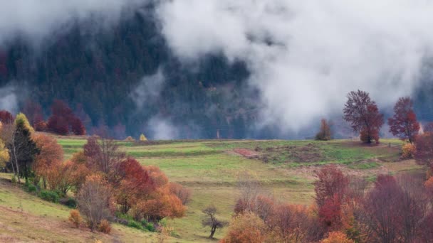 Clip de lapso de tiempo. Fantástico paisaje de montaña colorido con nube. Ucrania, Montañas Cárpatos — Vídeos de Stock