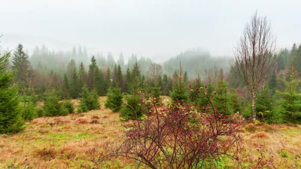 Ucrania, Cárpatos. Caducidad de la niebla matutina en las montañas de otoño. Paisaje con montañas nevadas y niebla corriendo. — Vídeos de Stock