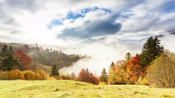 Nádherná podzimní krajina s krásnou modrou oblohou a majestátní mraky Forest Sunset Beautiful Fall Season Forest Mountain Sunset Orange Colors Spirituality Inspiration Vacation Concept — Stock video