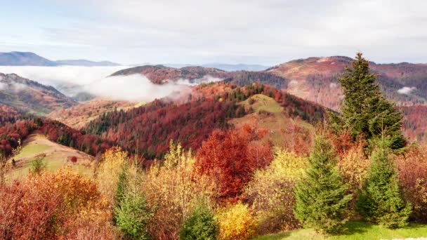 Maravilloso paisaje otoñal con hermoso cielo azul y majestuosas nubes Bosque Puesta de sol Hermosa temporada de otoño Bosque Montaña Puesta de sol Naranja Colores Espiritualidad Inspiración Concepto de vacaciones — Vídeo de stock