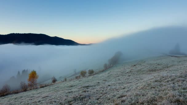 草の上の冷凍霜。曇りの秋の朝に神秘的な山の風景。高地の素晴らしい霧の森。自然な背景。カラフルな風景の上に青い空 — ストック動画
