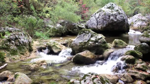 Kis vízesések egy békés erdőben — Stock videók