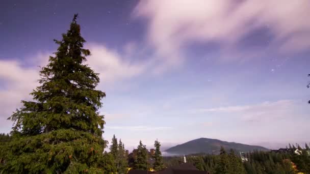 Traces d'étoiles contre le ciel nocturne, prises de vue longue exposition. — Video