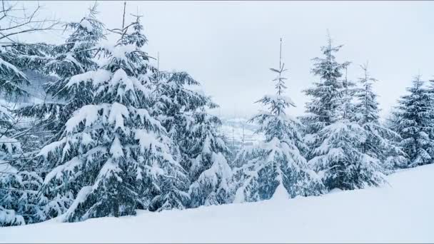Fiocchi di neve cadenti in montagne ghiacciate paesaggio con abeti. Sfondo natalizio con alti abeti ricoperti di neve nella foresta. Snowing filmati invernali — Video Stock