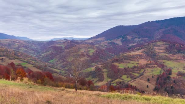 Lapso de tempo Bela natureza de outono e nevoeiro nevoeiro flui ao redor das montanhas pela manhã com luz solar suave. Temporada de outono na montanha dos Cárpatos na Ucrânia — Vídeo de Stock